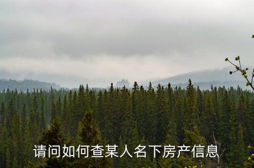 請問如何查某人名下房產信息