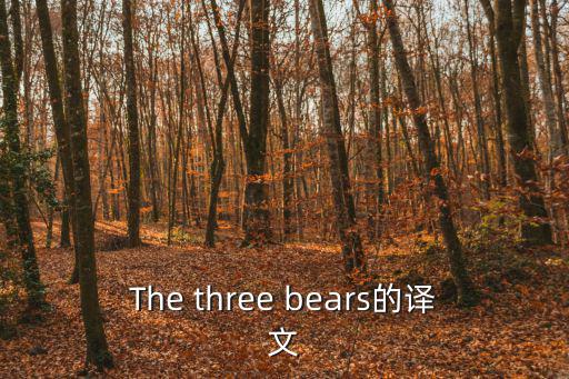 三只熊冰雪王國，The three bears的譯文