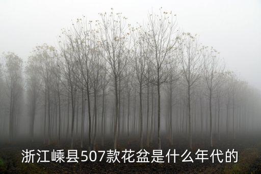 浙江嵊縣507款花盆是什么年代的
