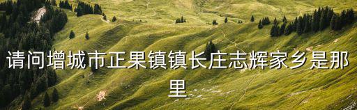 請問增城市正果鎮(zhèn)鎮(zhèn)長莊志輝家鄉(xiāng)是那里