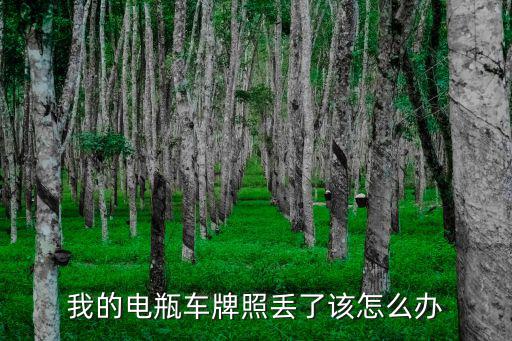 我的電瓶車牌照丟了該怎么辦