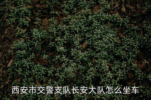 西安市交警支隊長安大隊怎么坐車