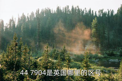 44 7904是英國哪里的區號