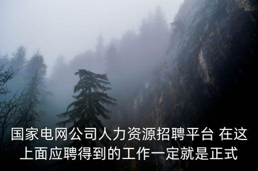國家電網(wǎng)公司人力資源招聘平臺 在這上面應(yīng)聘得到的工作一定就是正式