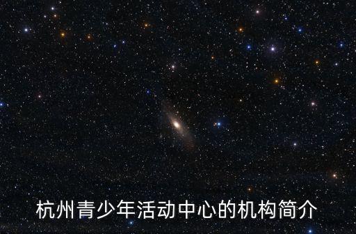 杭州青少年宮，杭州青少年活動中心的機構簡介