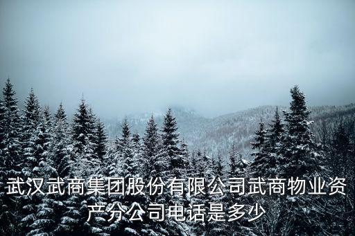 武商集團，武商集團員工年休假期不包括