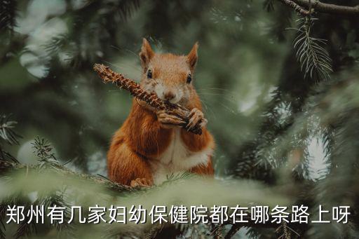 鄭州市婦幼，鄭州婦幼保健醫(yī)院怎么樣