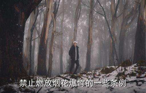 禁放煙花爆竹，禁止燃放煙花爆竹的一些條例