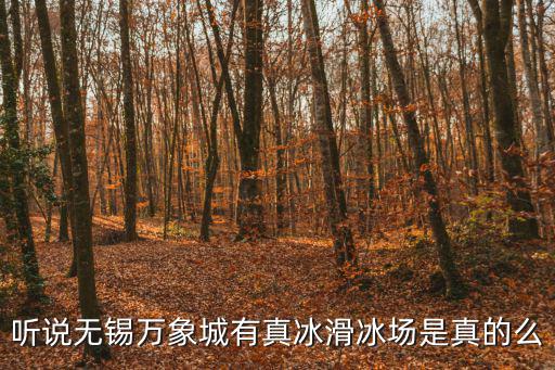 冰紛萬象滑冰場，南寧冰紛萬象滑冰場學(xué)習(xí)滑冰多少錢