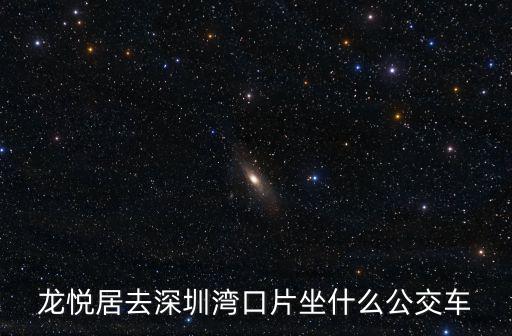 龍悅居去深圳灣口片坐什么公交車