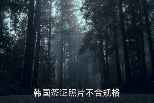 韓國簽證照片不合規格