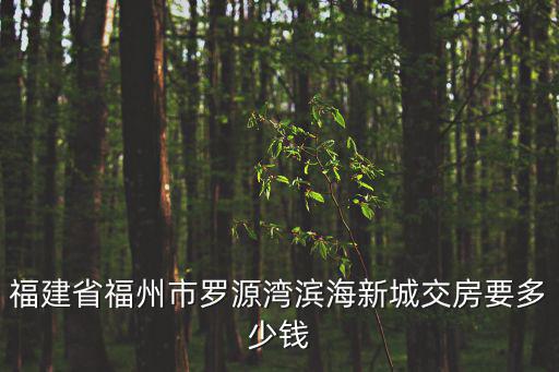 福建省福州市羅源灣濱海新城交房要多少錢