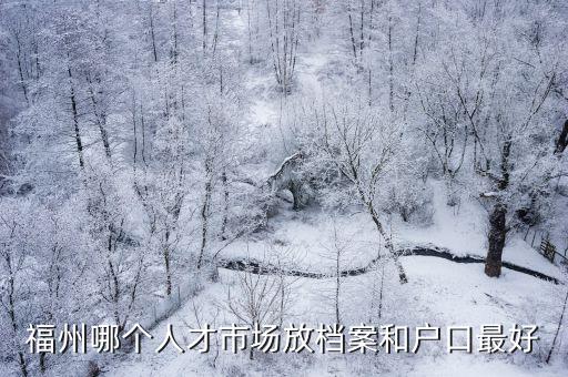 福州哪個(gè)人才市場放檔案和戶口最好