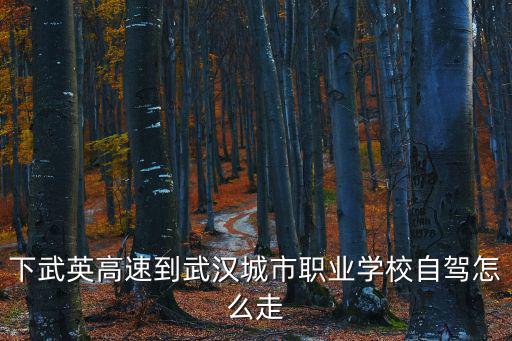 武漢城市職業(yè)學(xué)院官網(wǎng)，武漢城市職業(yè)學(xué)校離湖北交通學(xué)院近嗎