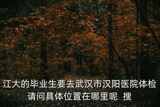 江大的畢業生要去武漢市漢陽醫院體檢請問具體位置在哪里呢  搜