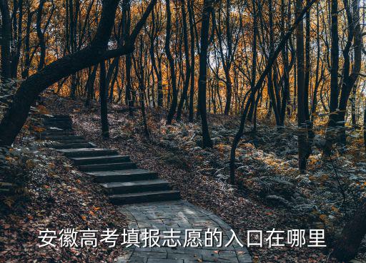 安徽高考填報志愿的入口在哪里