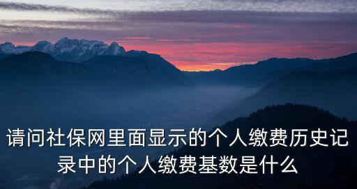 請問社保網里面顯示的個人繳費歷史記錄中的個人繳費基數是什么
