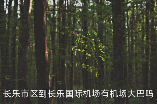 長樂市區到長樂國際機場有機場大巴嗎