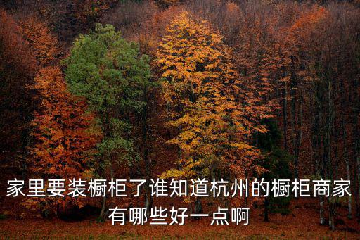 杭州整體櫥柜，杭州整體櫥柜一般什么價格有性價比好一點的品牌推薦沒