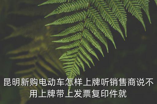 昆明新購電動車怎樣上牌聽銷售商說不用上牌帶上發票復印件就