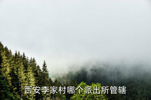 西安李家村，西安李家村哪個派出所管轄