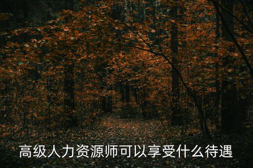 高級人力資源師可以享受什么待遇