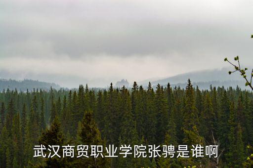 武漢商貿(mào)職業(yè)學院官網(wǎng)，武漢商貿(mào)職業(yè)學院張騁是誰啊