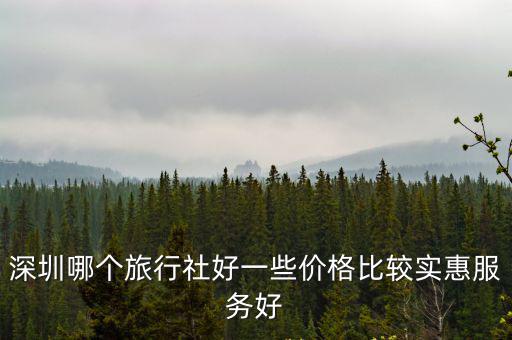 深圳哪個旅行社好一些價格比較實惠服務好