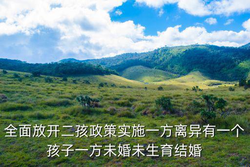 全面放開(kāi)二孩政策實(shí)施一方離異有一個(gè)孩子一方未婚未生育結(jié)婚