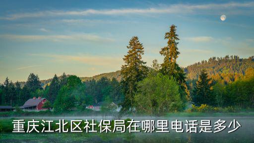 江北區人力資源和社會保障局，江北區社保局的地址