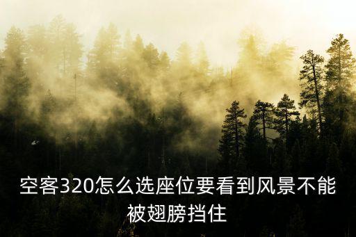 空客320怎么選座位要看到風景不能被翅膀擋住