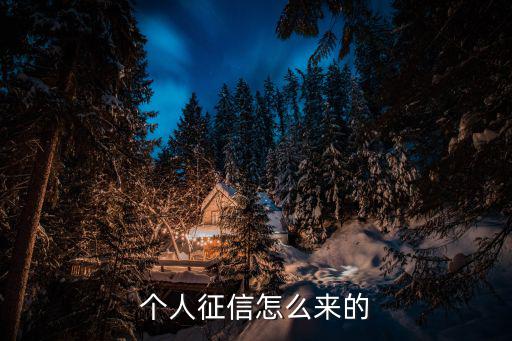 個人征信怎么來的