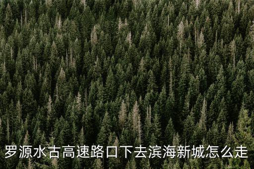 羅源水古高速路口下去濱海新城怎么走