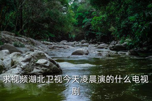 求視頻湖北衛視今天凌晨演的什么電視劇