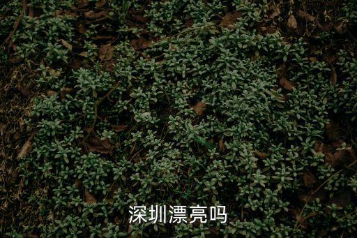 深圳漂亮嗎