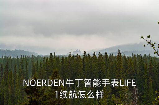 NOERDEN牛丁智能手表LIFE1續航怎么樣