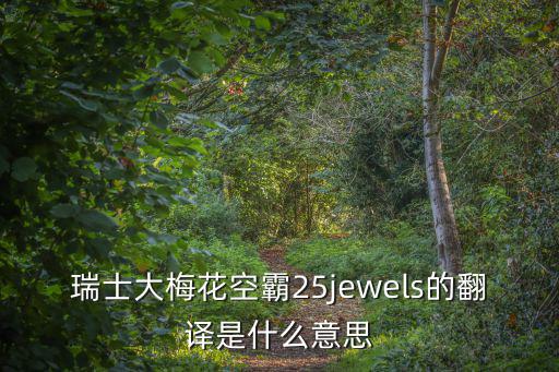 瑞士大梅花空霸25jewels的翻譯是什么意思