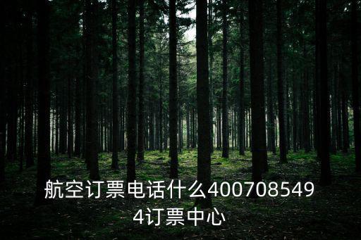航空訂票電話什么4007085494訂票中心