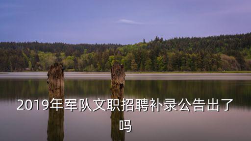 2019年軍隊文職招聘補錄公告出了嗎