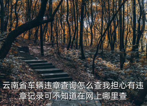 云南省車輛違章查詢?cè)趺床槲覔?dān)心有違章記錄可不知道在網(wǎng)上哪里查