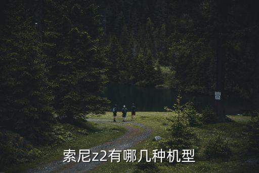 索尼z2，索尼z2有哪幾種機型
