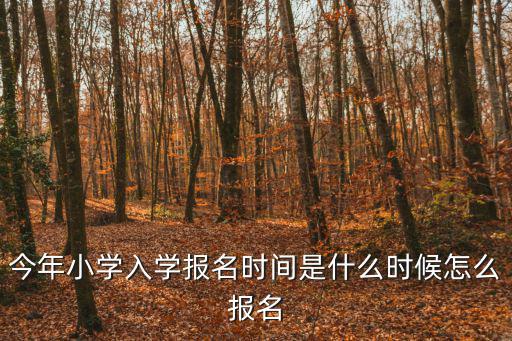 今年小學入學報名時間是什么時候怎么報名