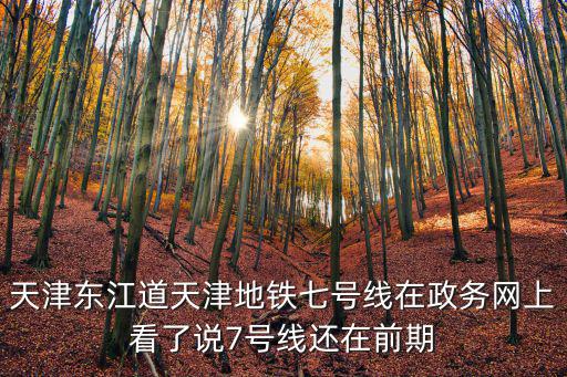 七號線，長沙地鐵7號線的介紹