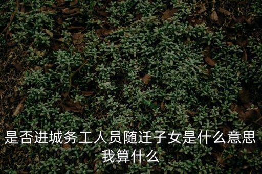 是否進(jìn)城務(wù)工人員隨遷子女是什么意思我算什么
