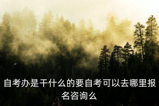 自考辦是干什么的要自考可以去哪里報名咨詢么