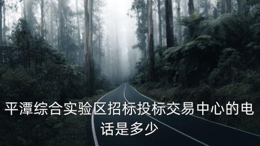 平潭綜合實驗區招標投標交易中心的電話是多少
