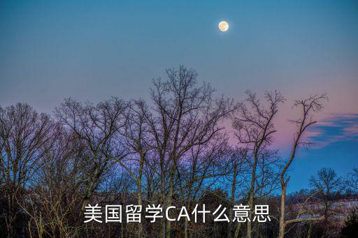 美國留學CA什么意思