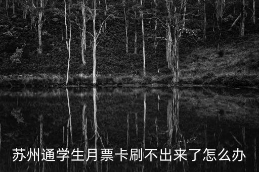 蘇州通學生月票卡刷不出來了怎么辦