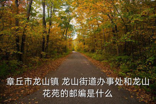 章丘市龍山鎮 龍山街道辦事處和龍山花苑的郵編是什么