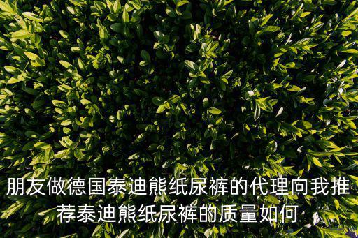 泰迪熊紙尿褲，朋友做德國泰迪熊紙尿褲的代理向我推薦泰迪熊紙尿褲的質量如何